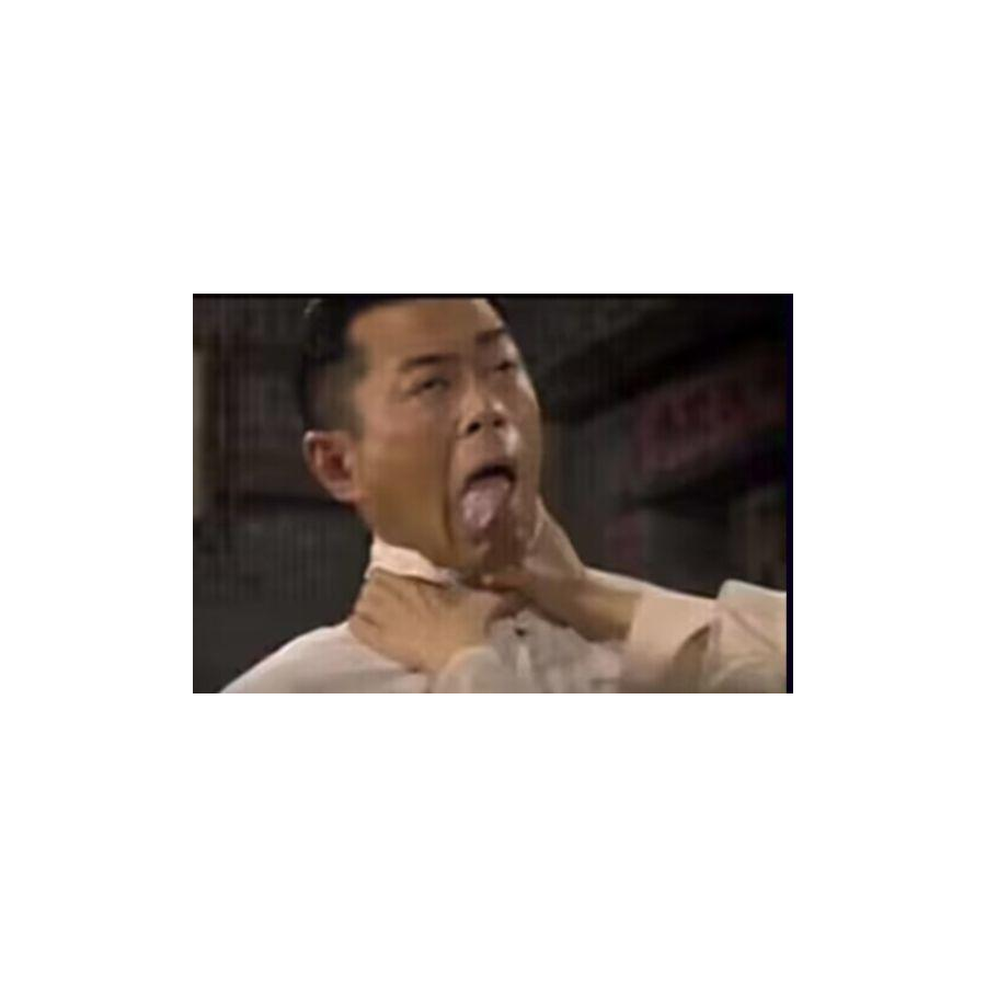 洗头枝