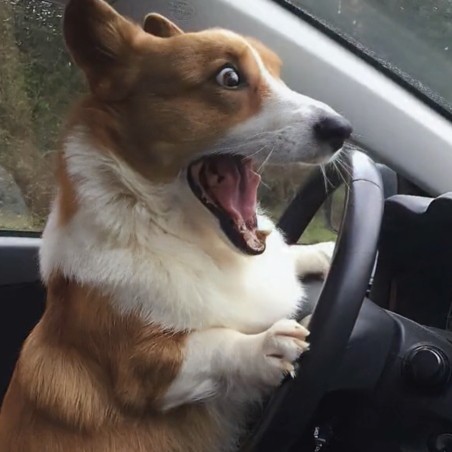 染年凉城似染瑾