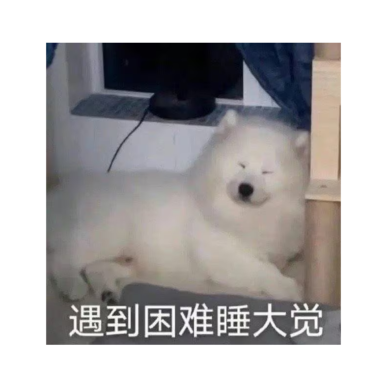 布布布布布丁