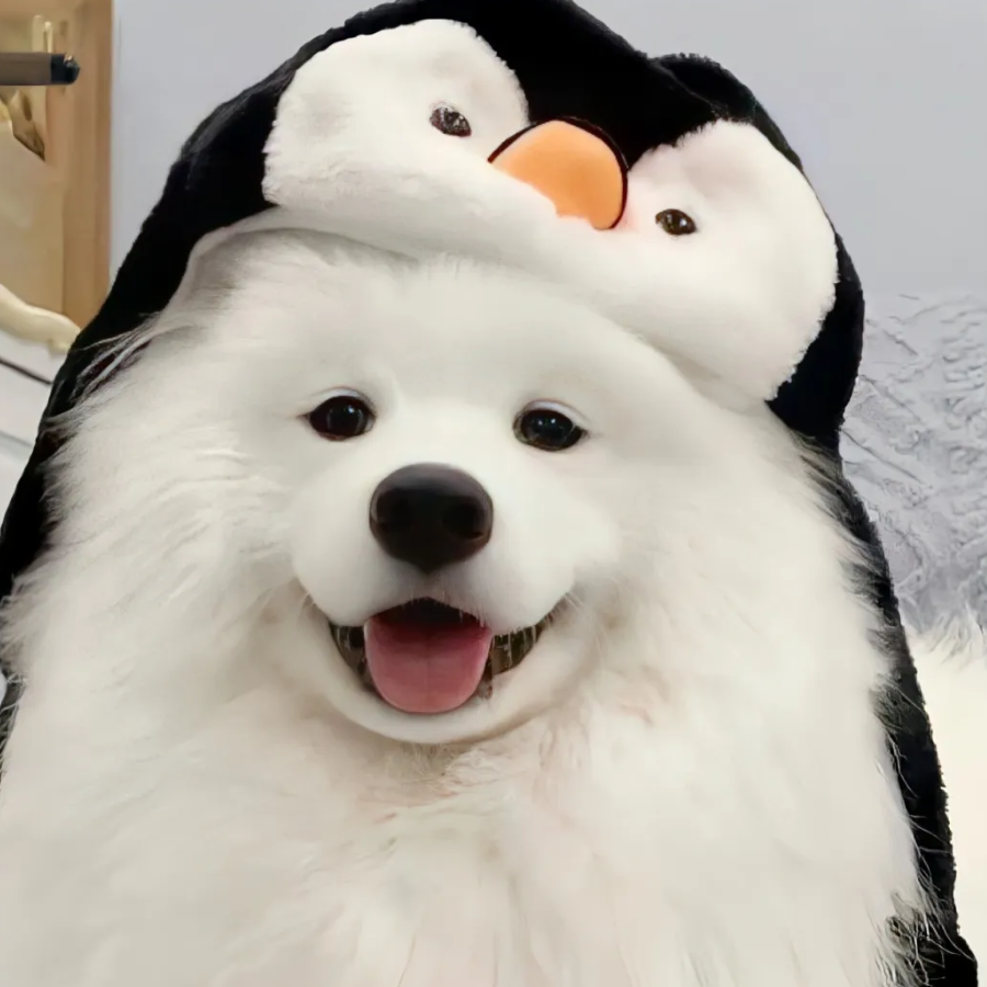 梧佟