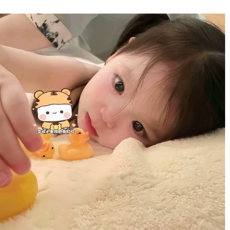 呆