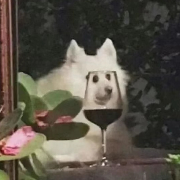孖