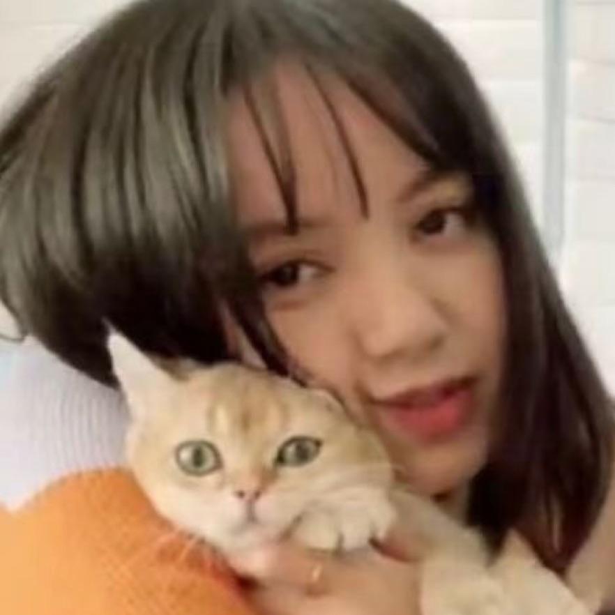 山顶黑狗兄