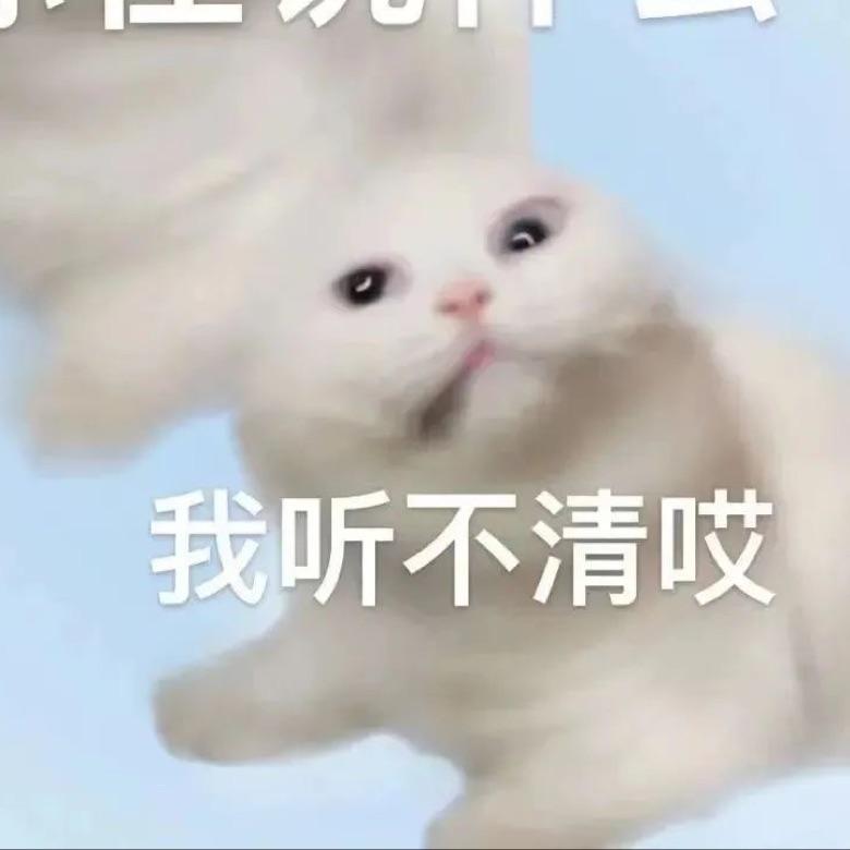 居山桑里