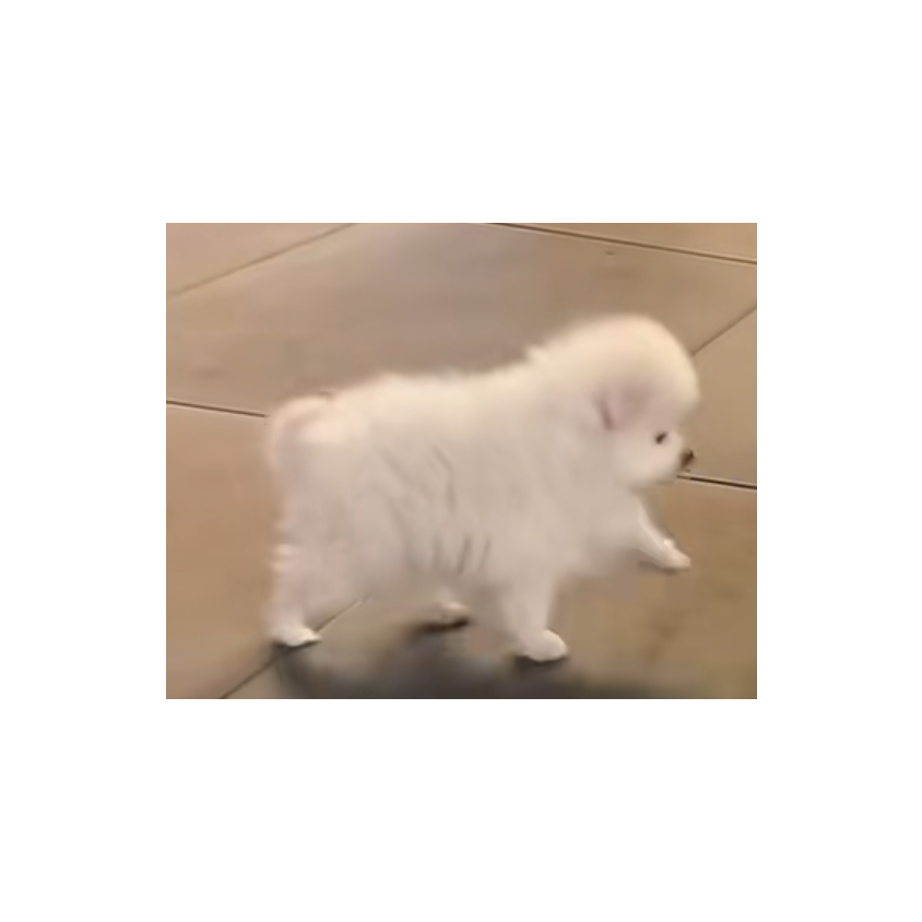 某城主的扑棱蛾子