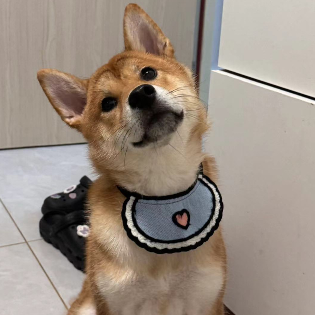 多少听过浮夸