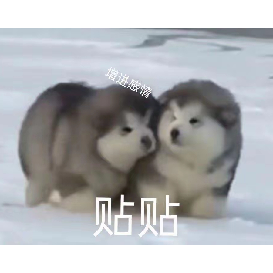 淮南皓月冷千山