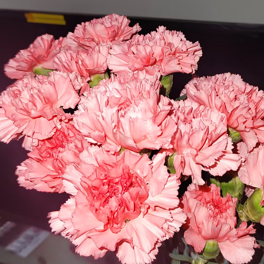花颜