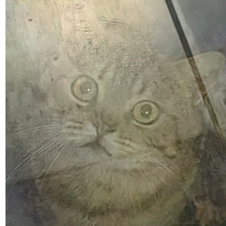 1576