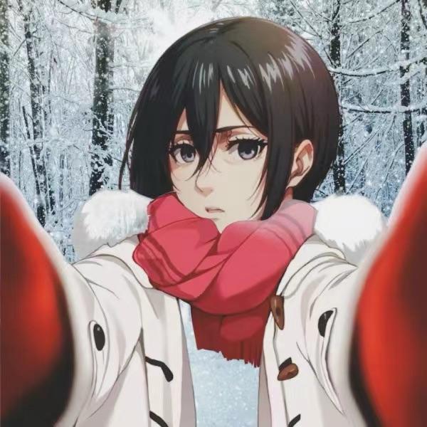 A·Mikasa