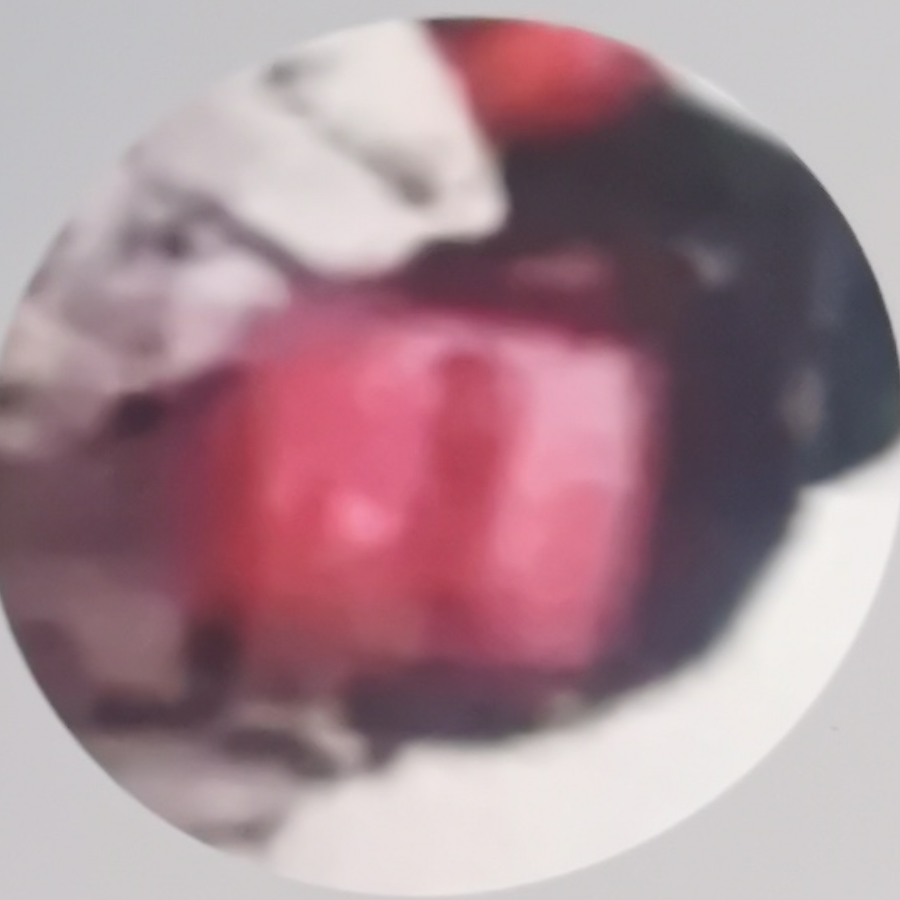 尪度