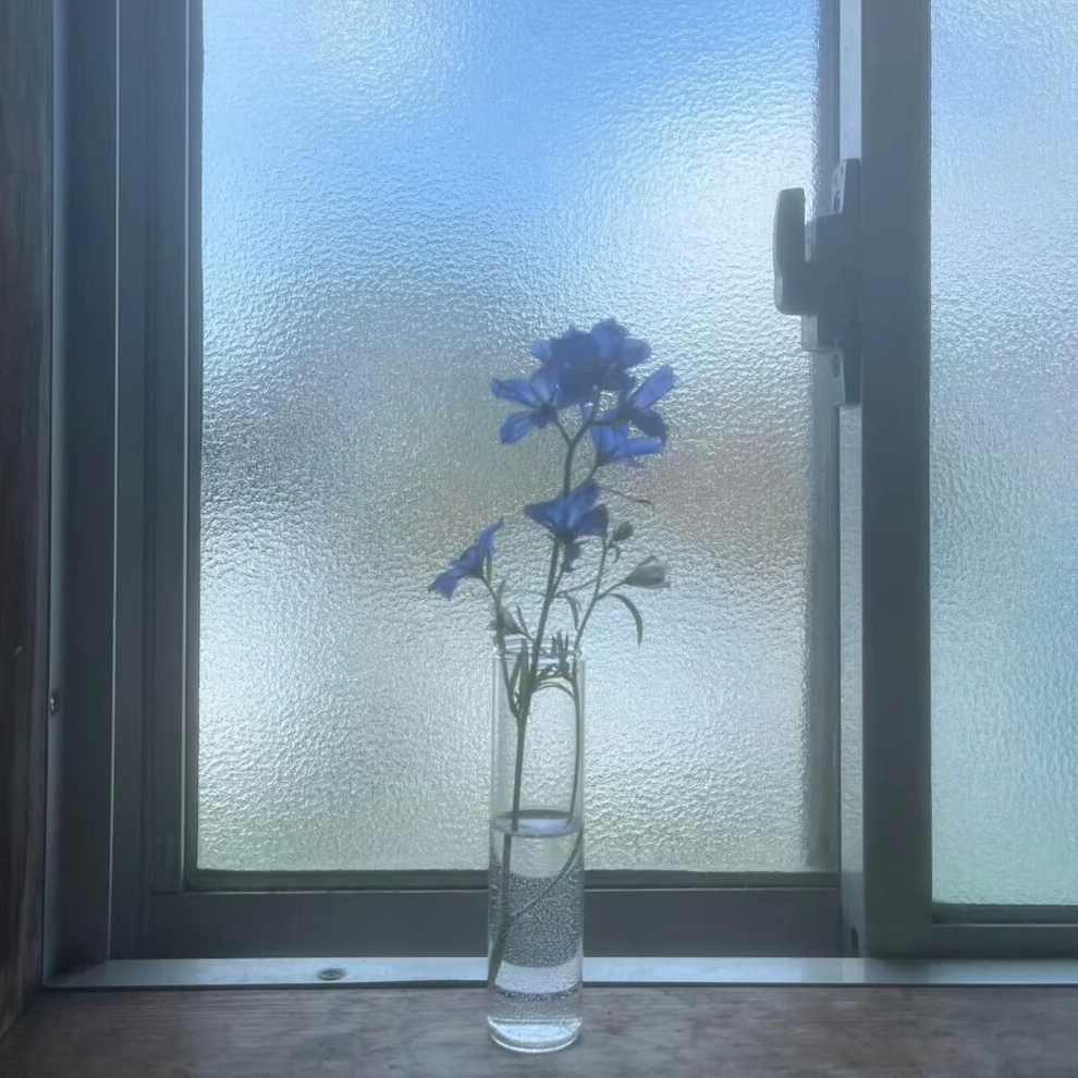 Alone°暮冬ご