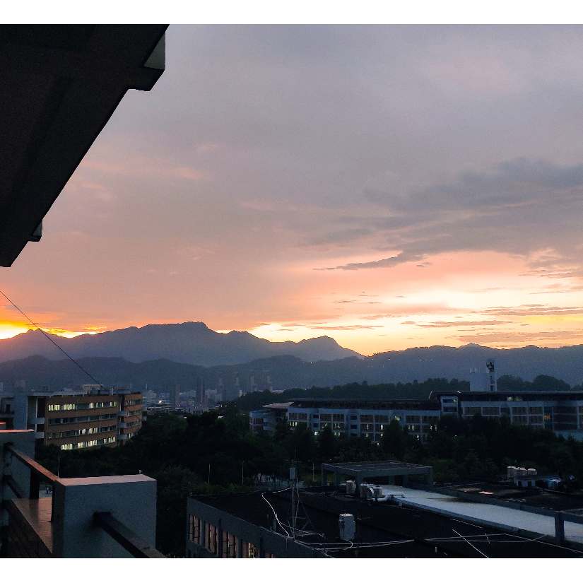 林花谢了春红