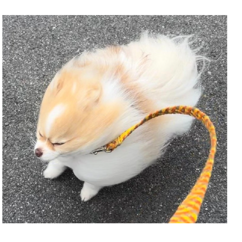 奈何桥的路灯
