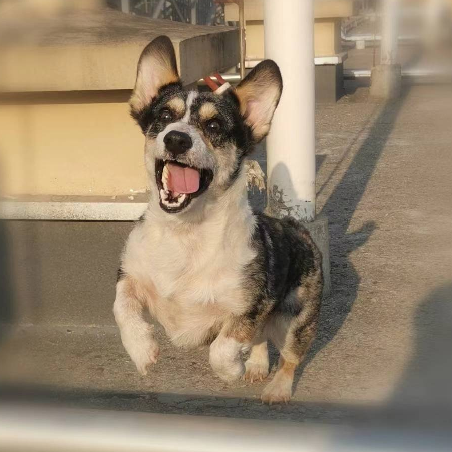 街角