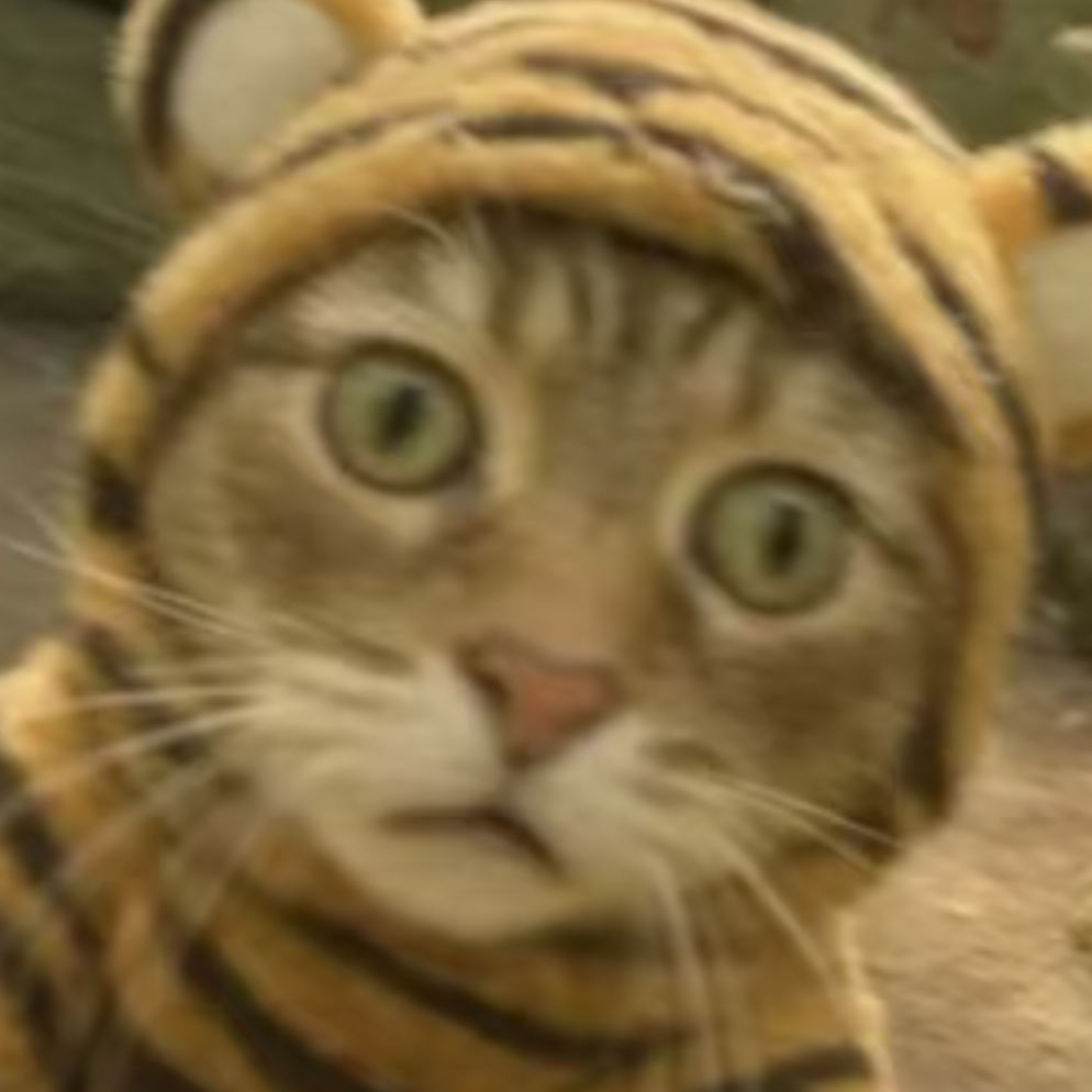 嘻嘻