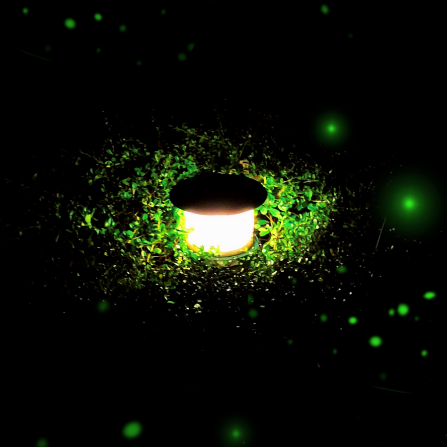 XZLAJFX
