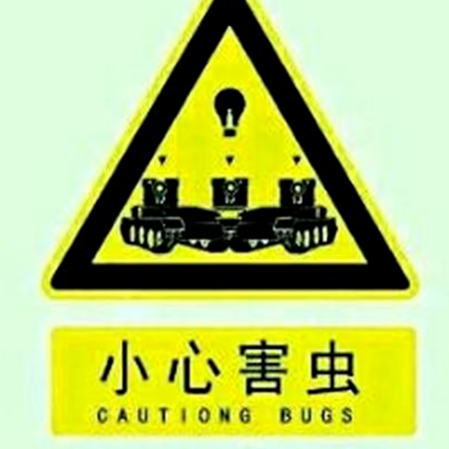 第一飞鸡