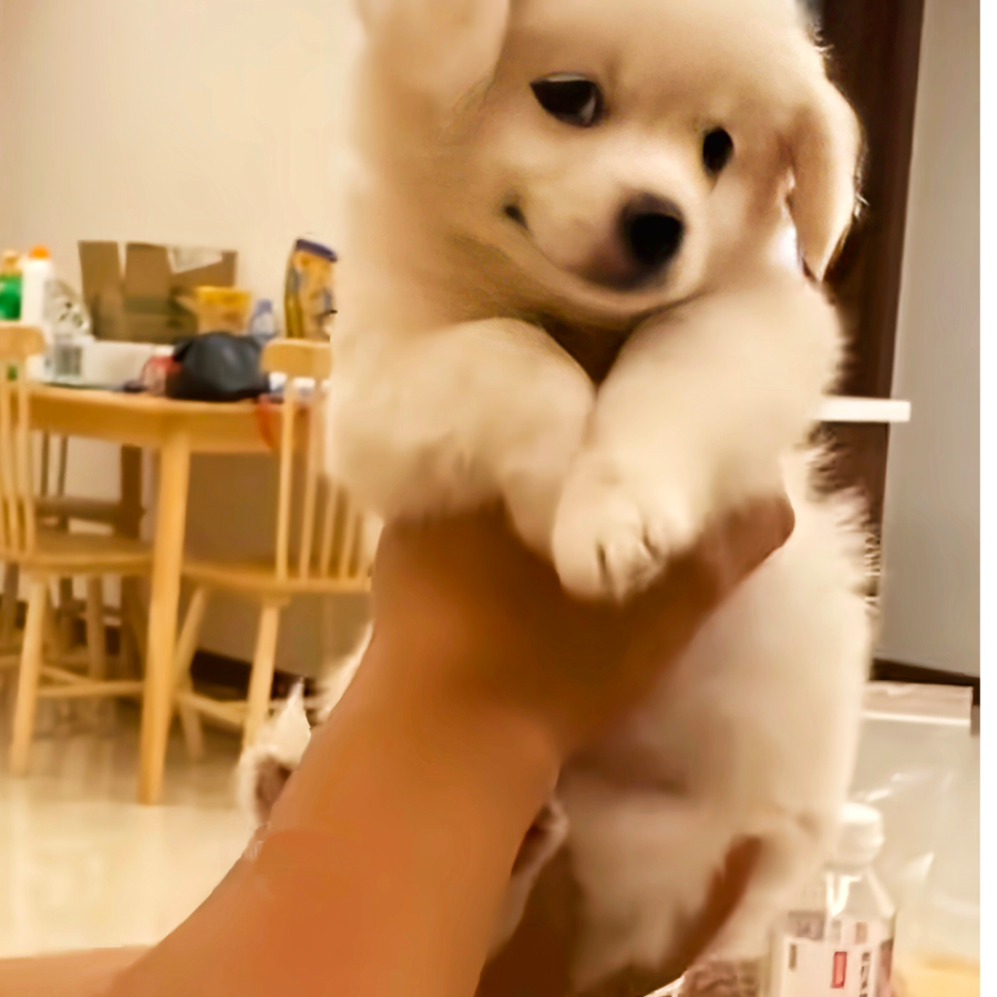 尐谜惘❣️