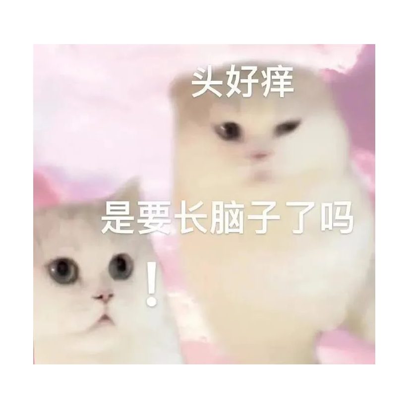 角色名字七个字