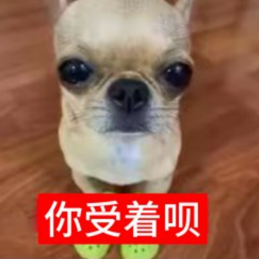 落雨逢椿.