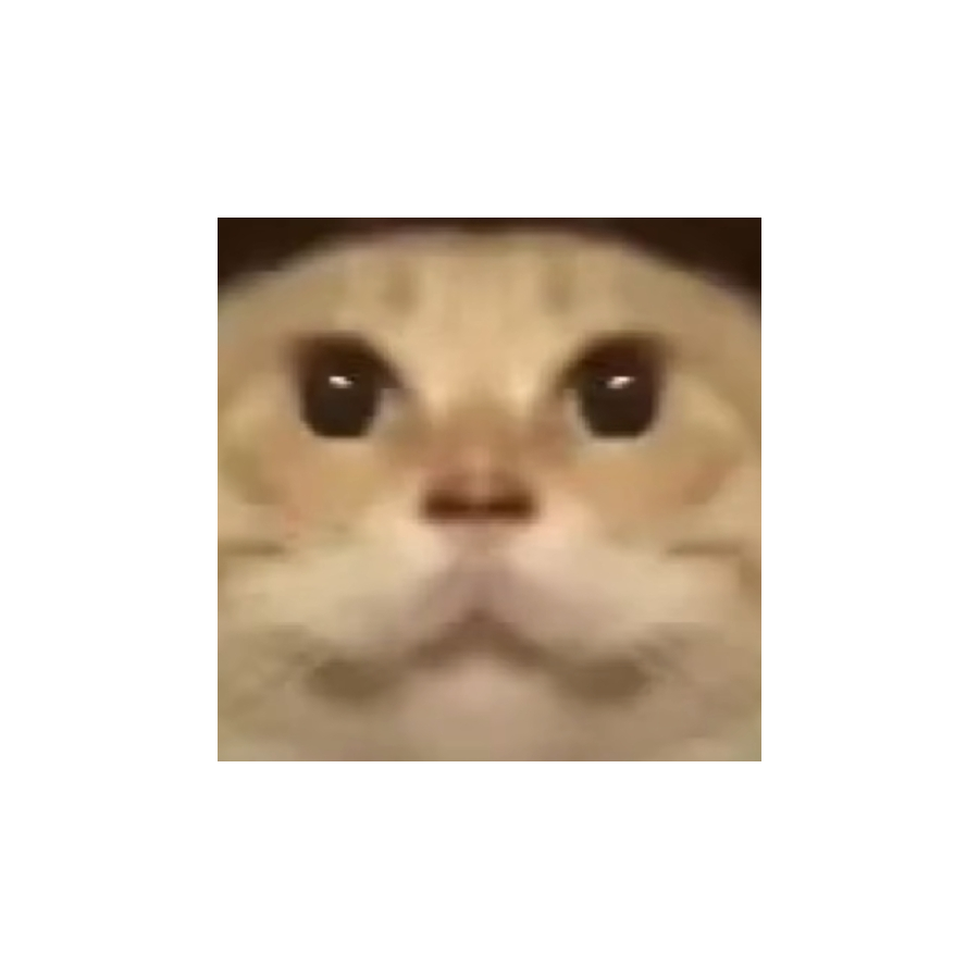 halo