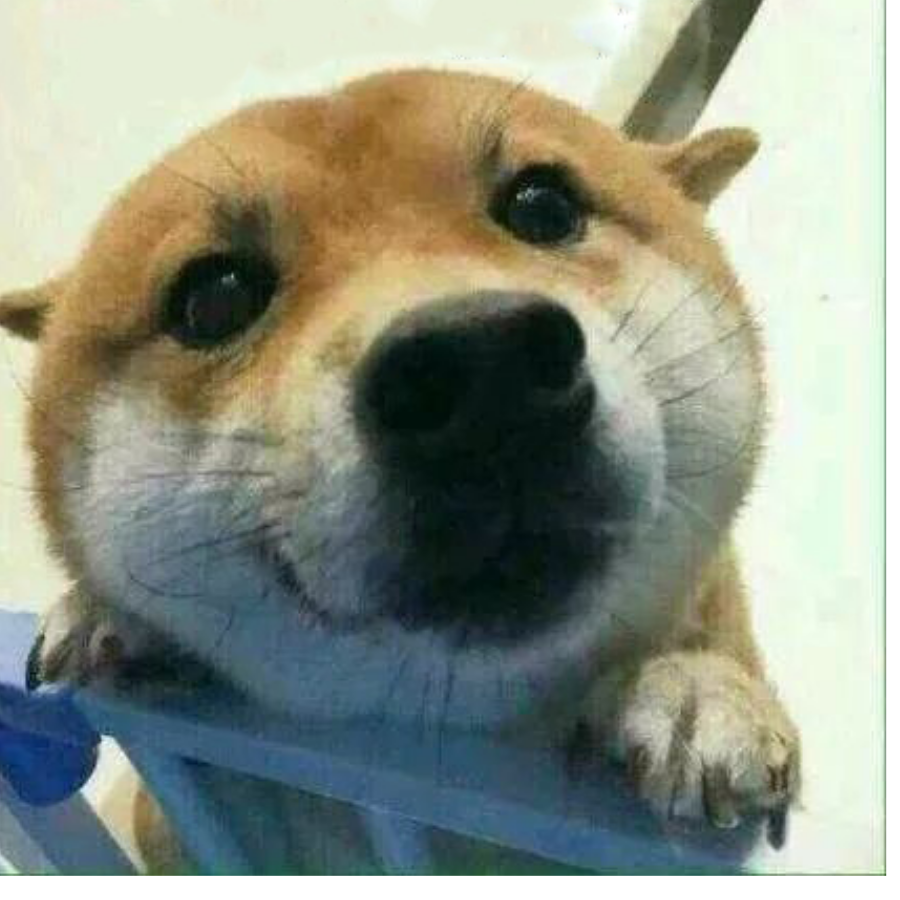 昵称不可以为空