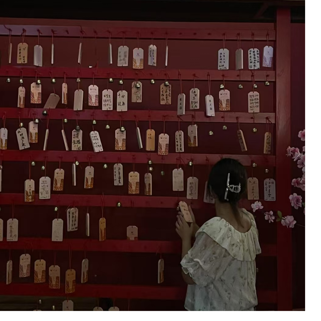 永远站在蛋的这一边