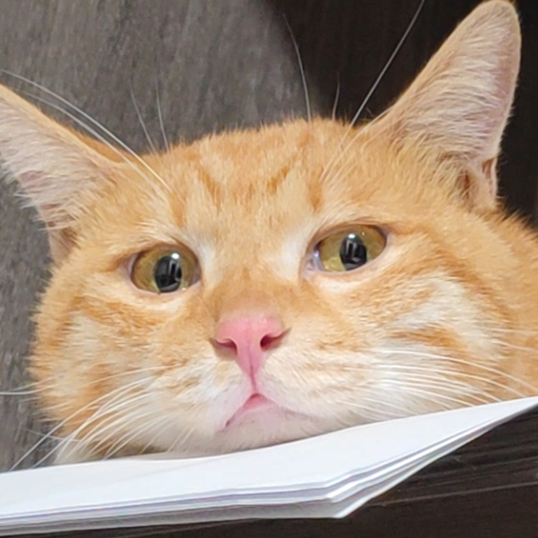 我的菠萝不见了