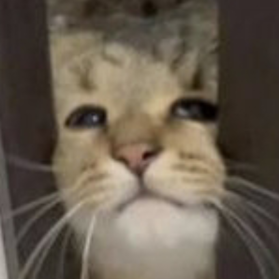 檩
