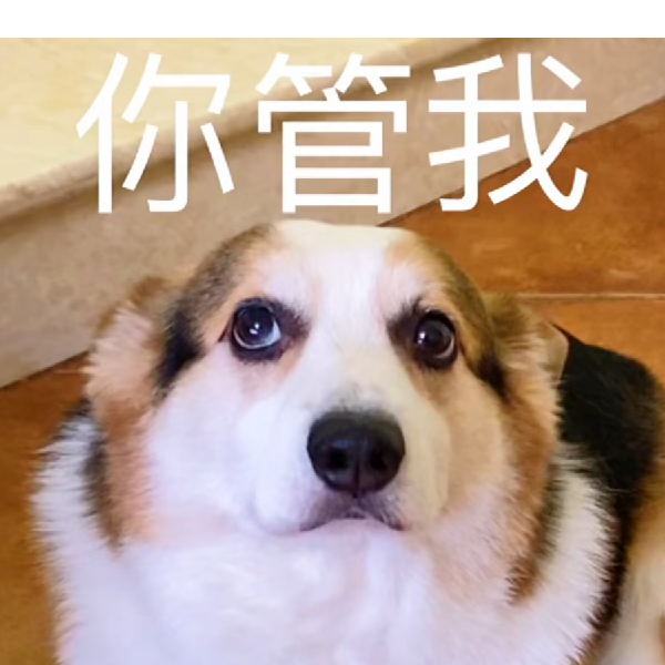 快乐一生