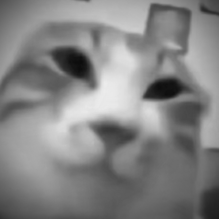 戴