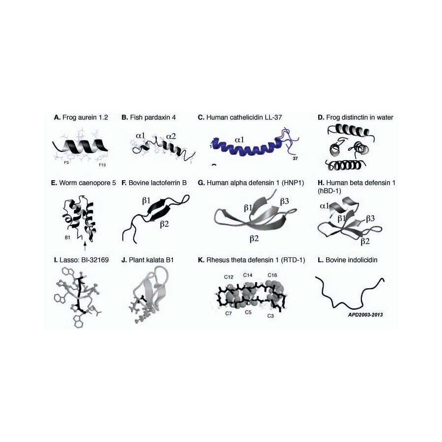 早点毕业好不好