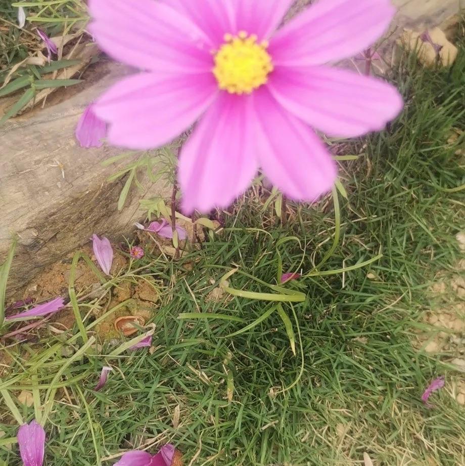 暗影中的英雄