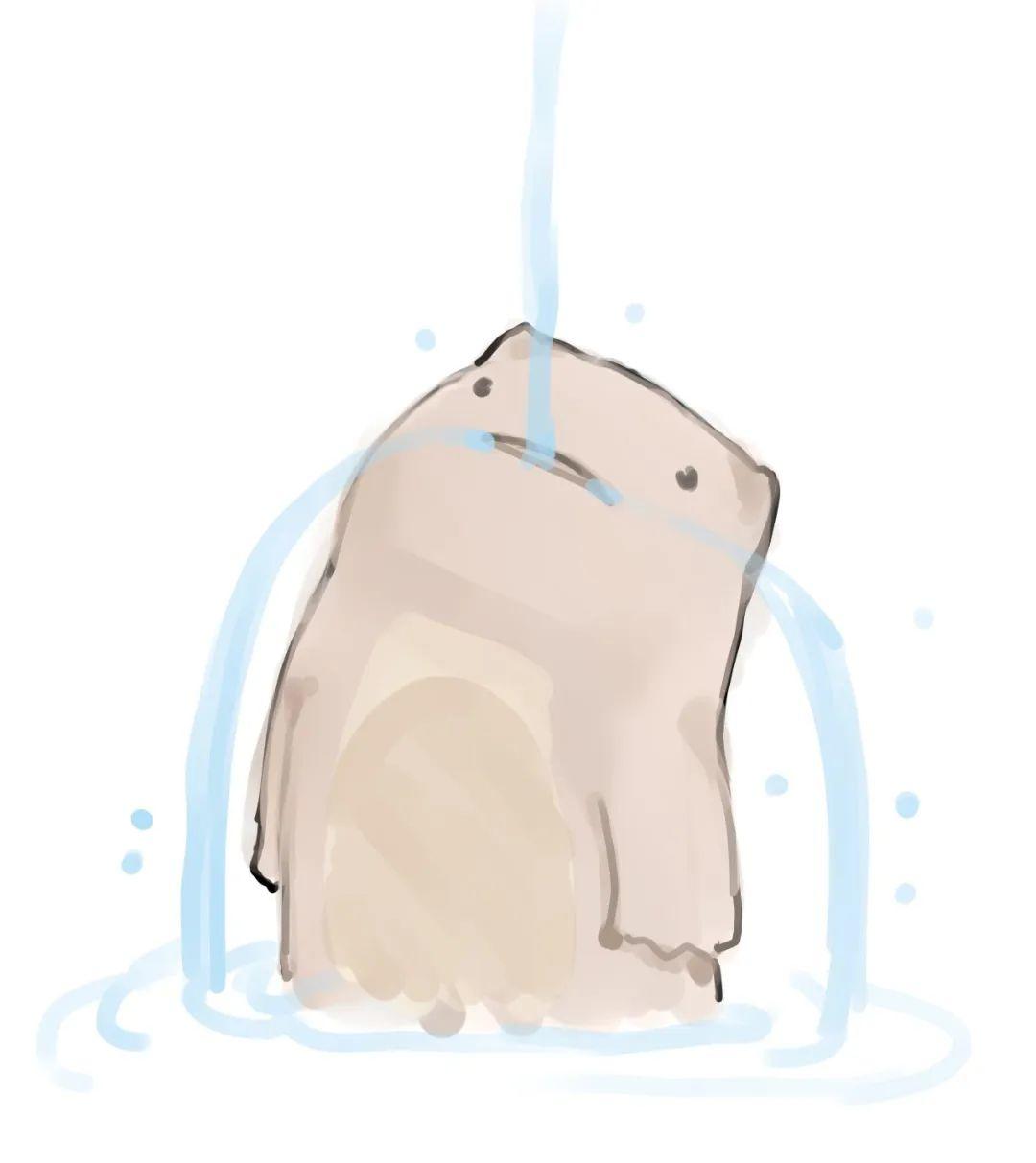 里普利