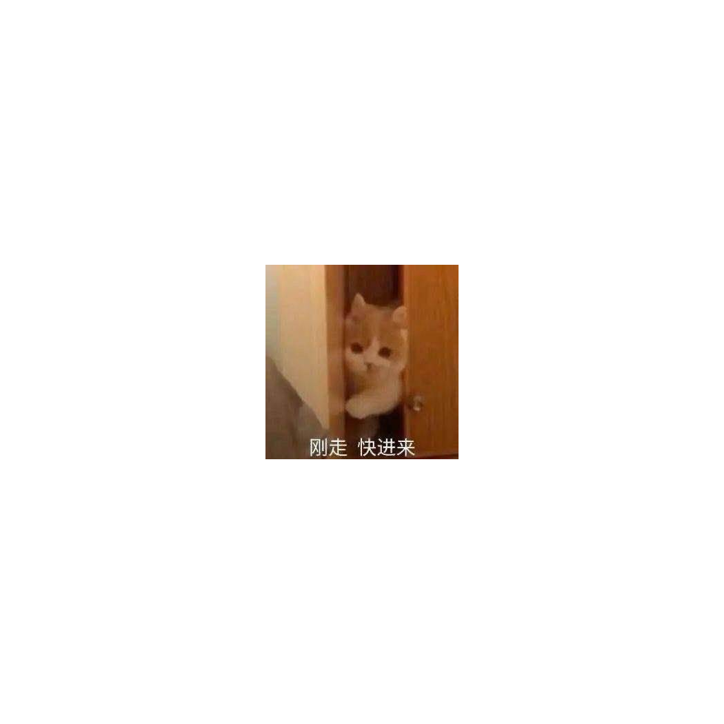 User393891183