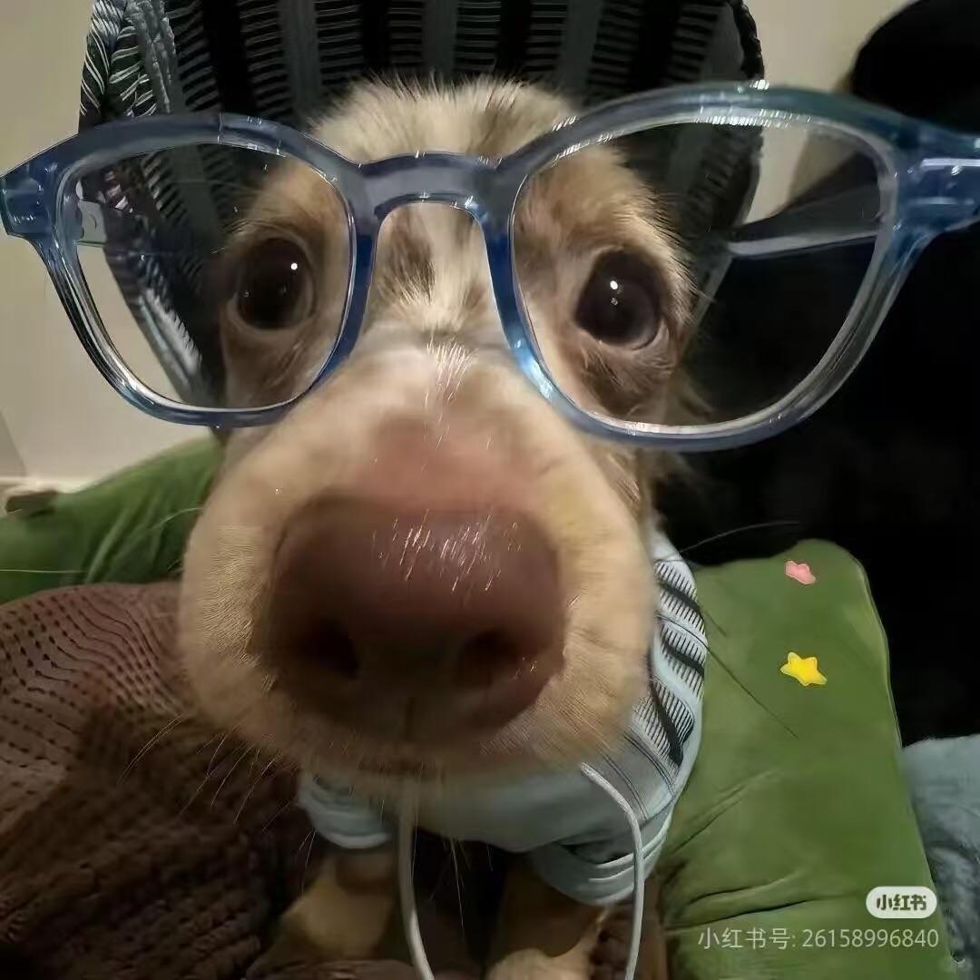 视频号搜香肠派对辉煜