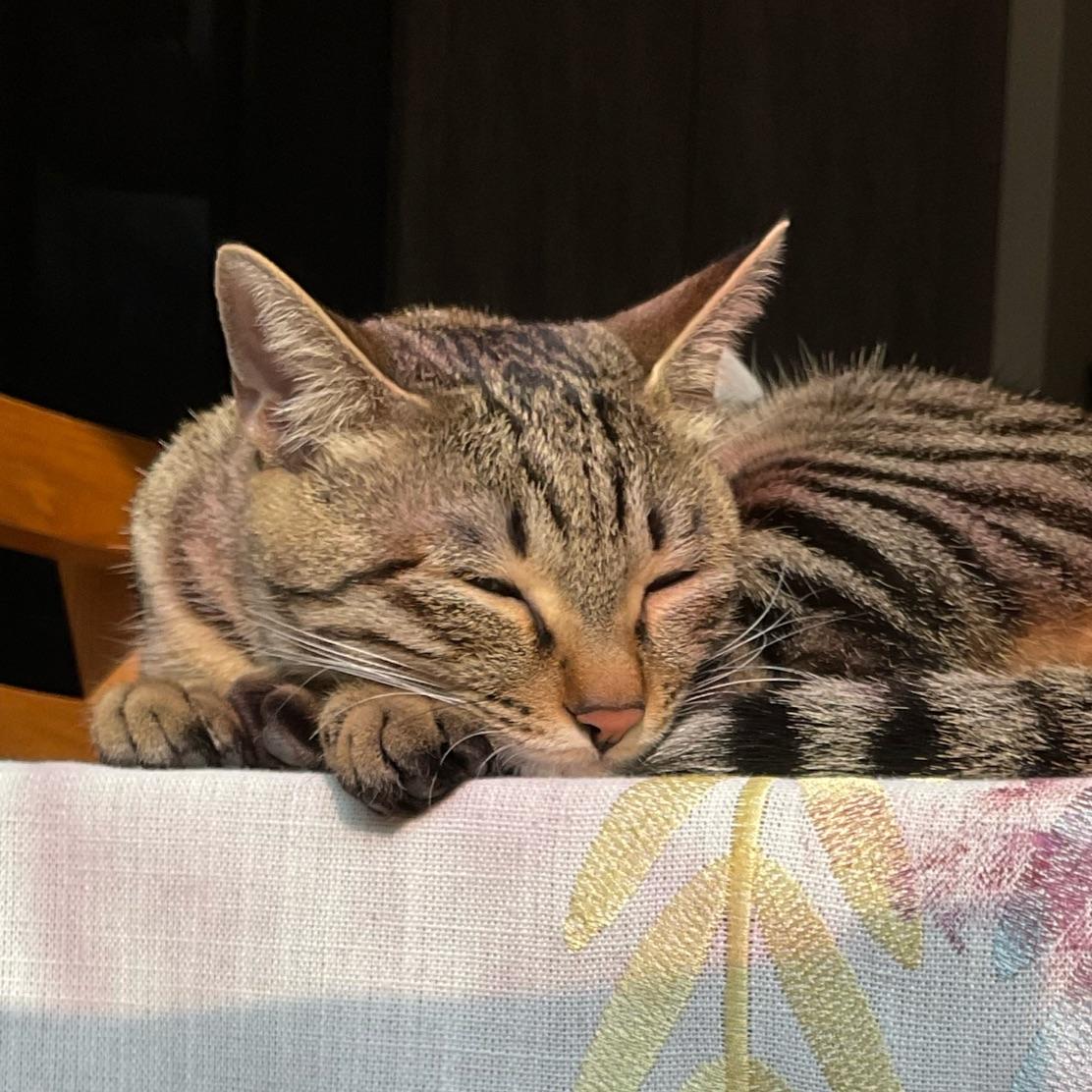 不眠
