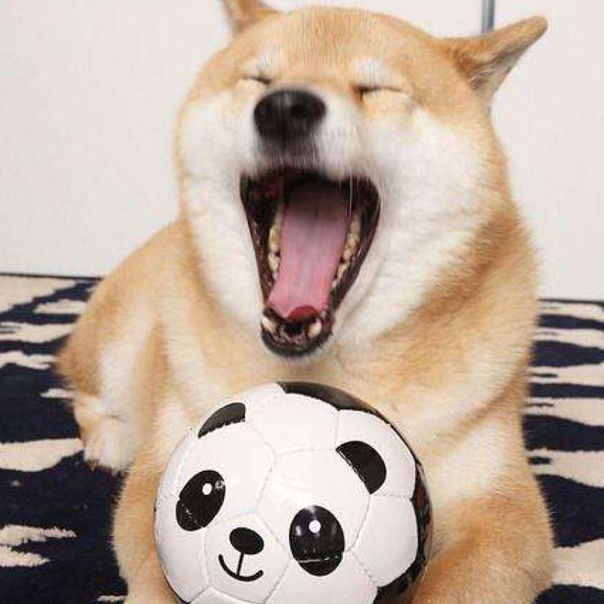 勿忘