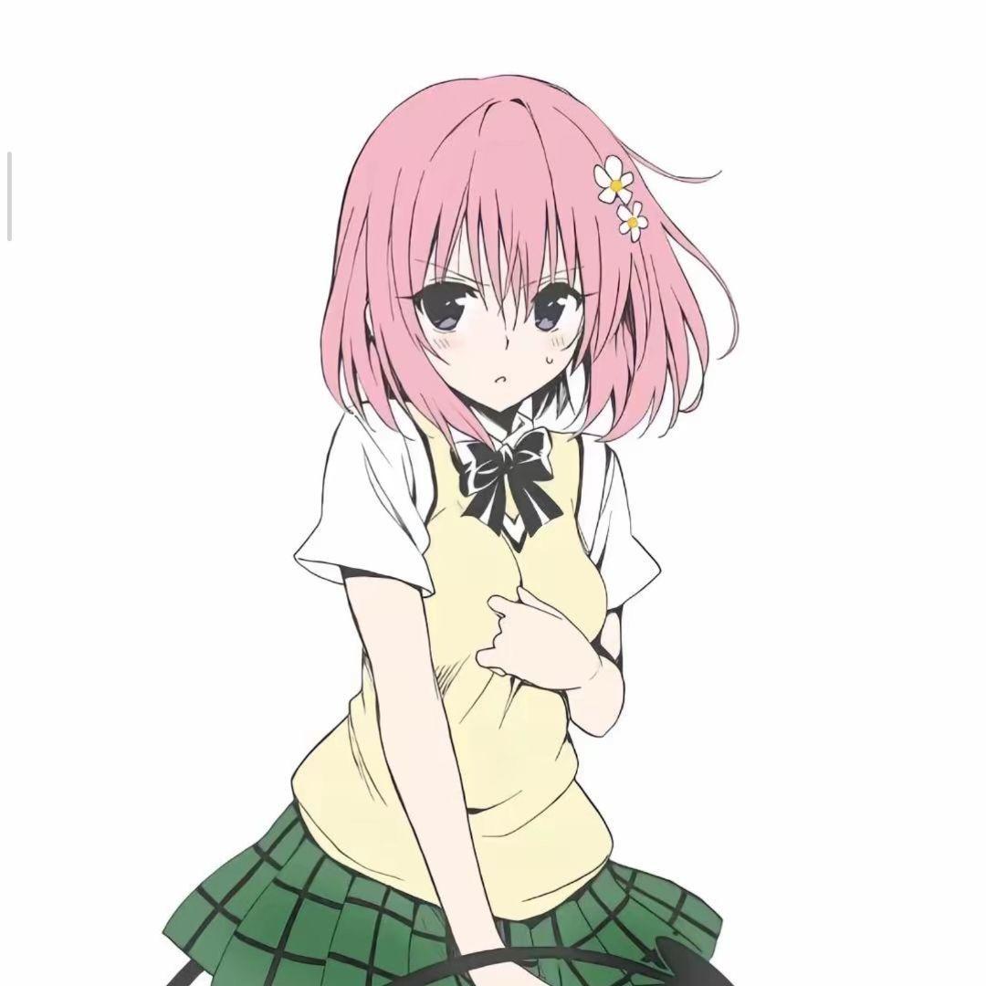 柊
