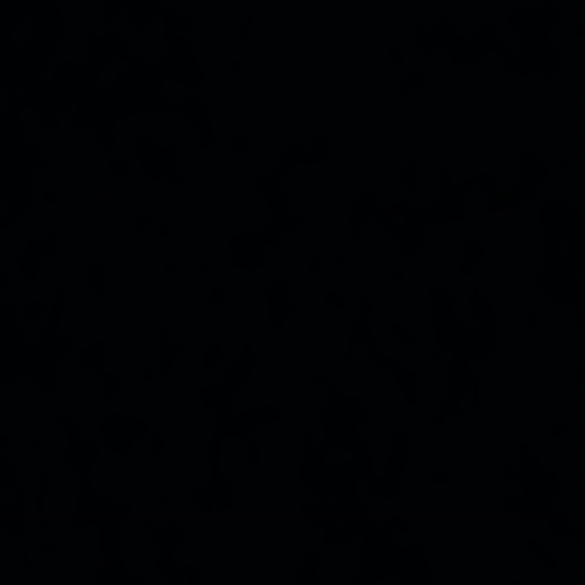 号弃了（已换绑）