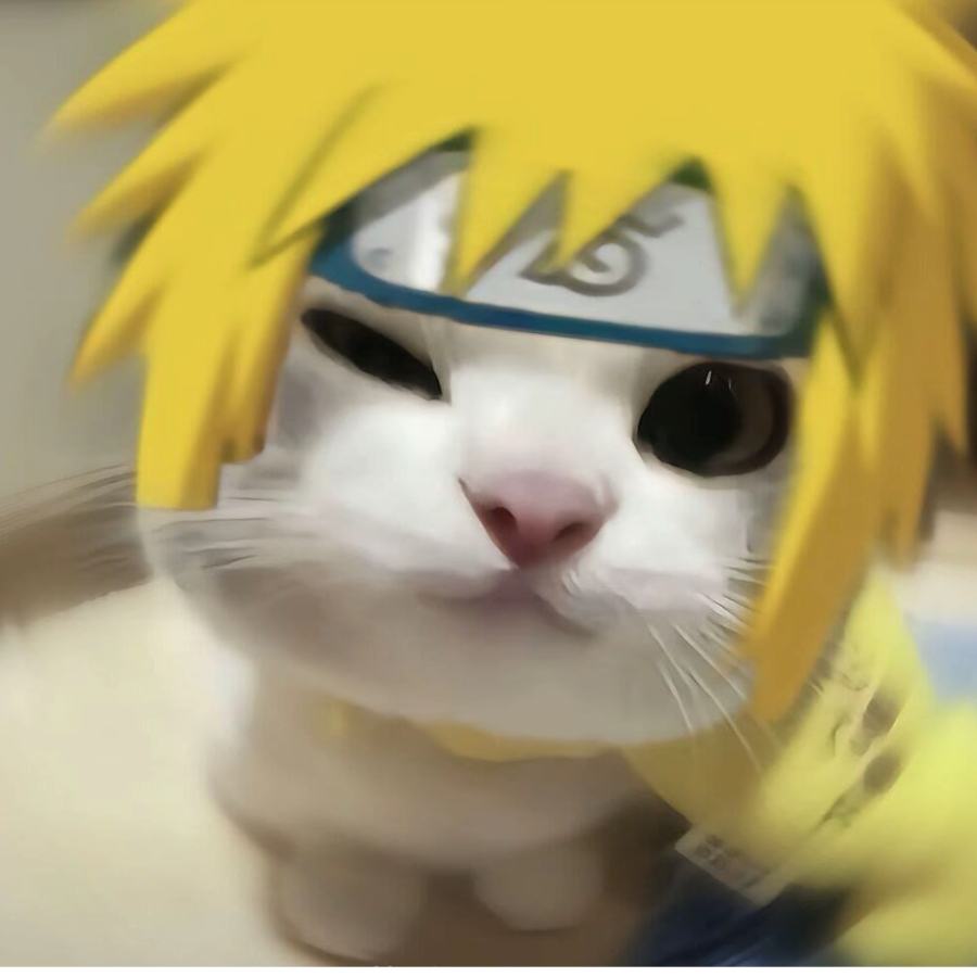 小猫大王