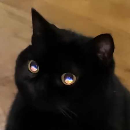叠石鲁