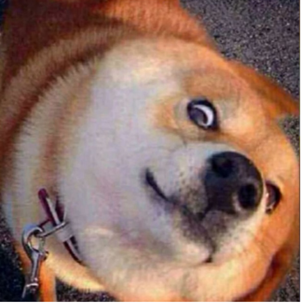 钦.