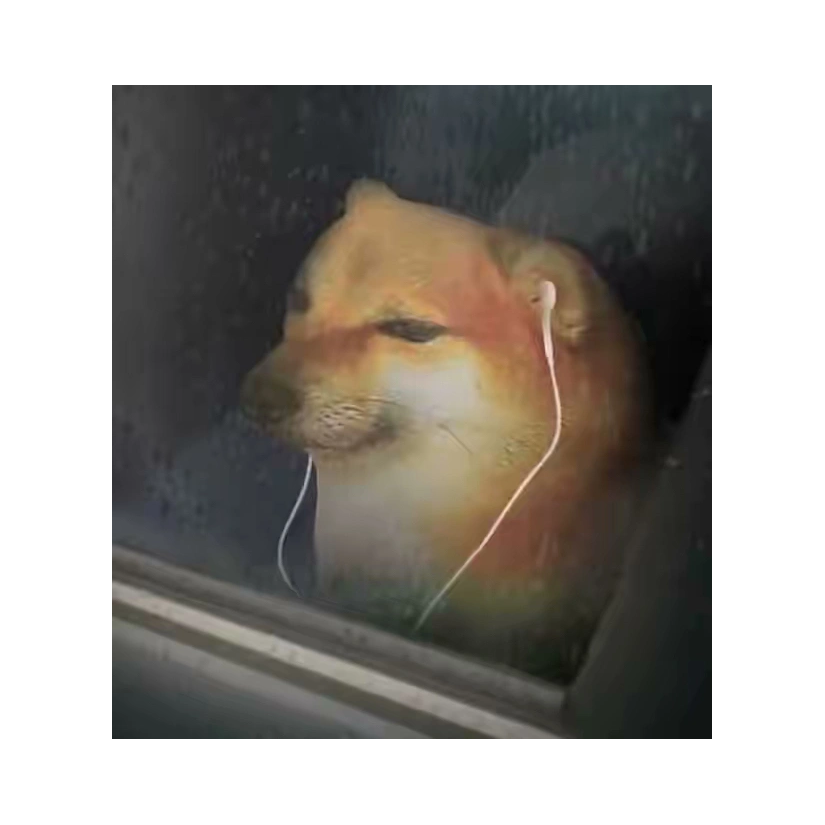 肀肀の