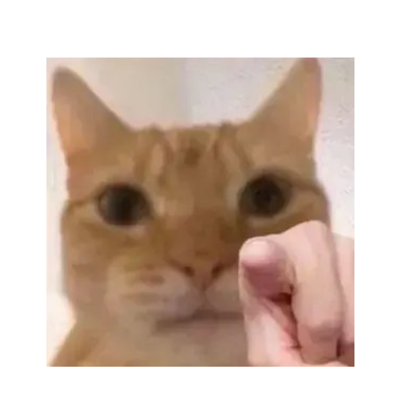 晓帅蛙