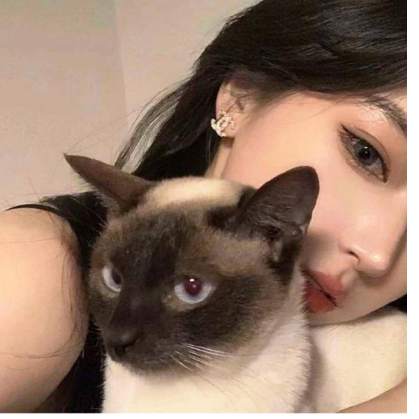 吃芒果过敏嘛