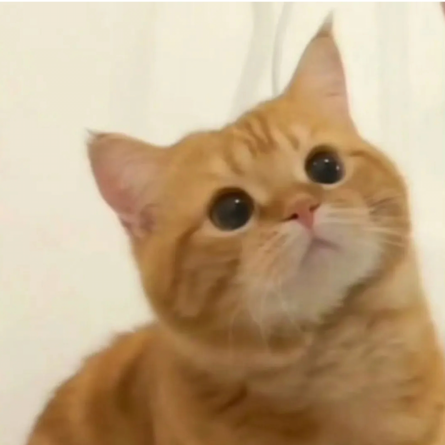 xzls的团子吖