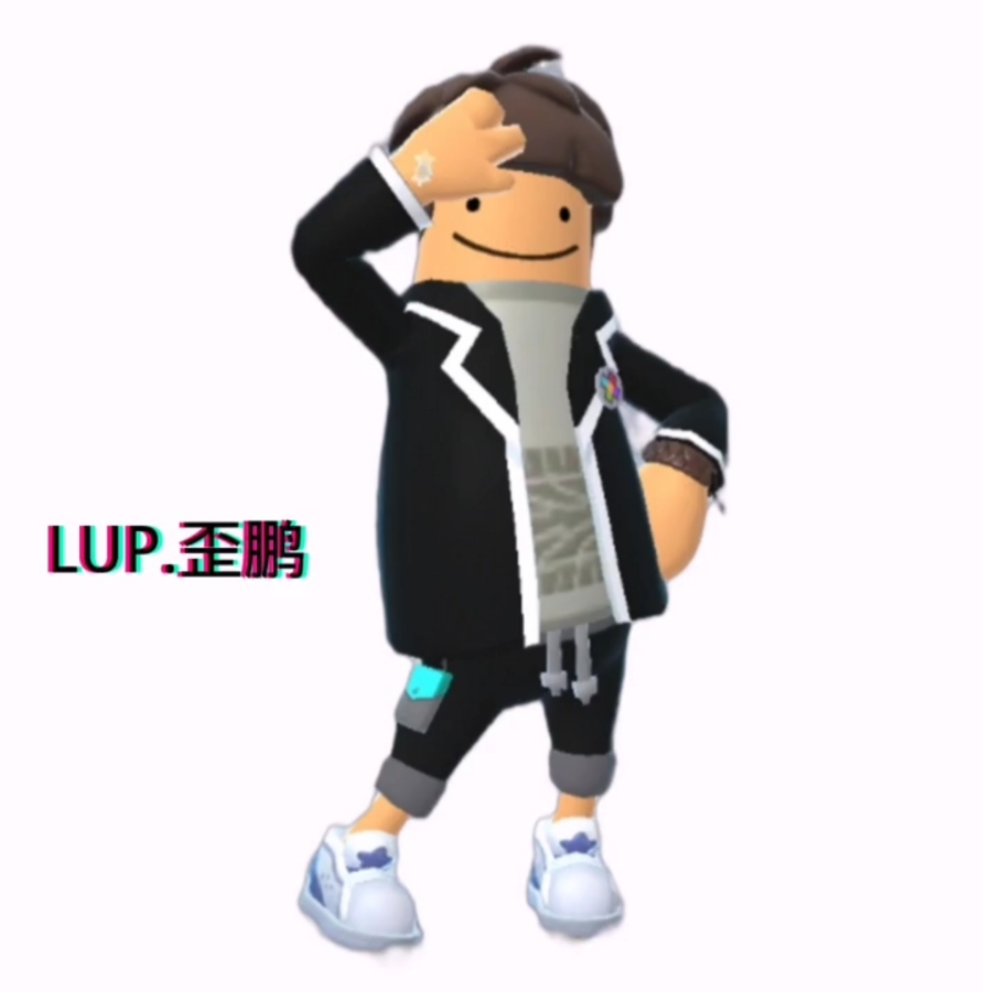 LUP.歪鹏