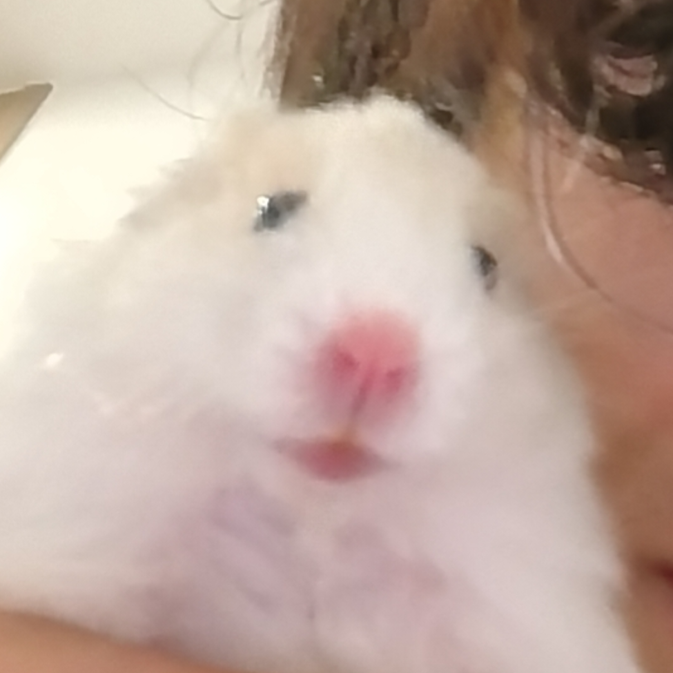 棂时